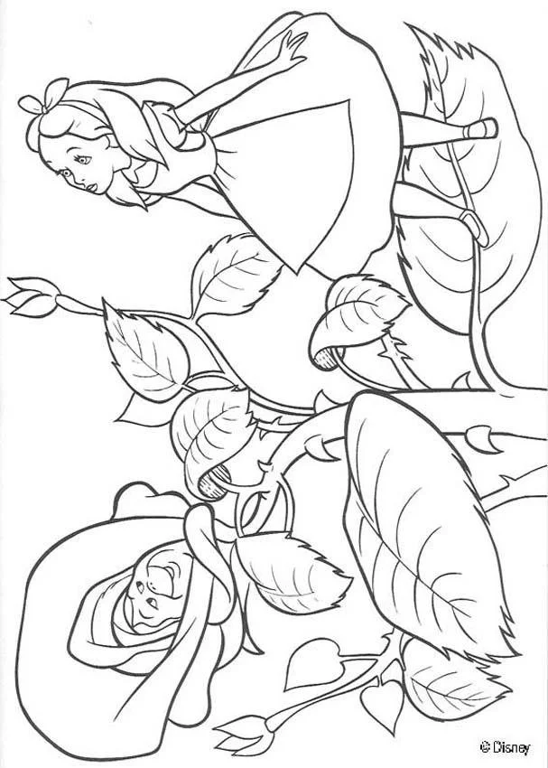 Alice In Wonderland Coloring Pages 50