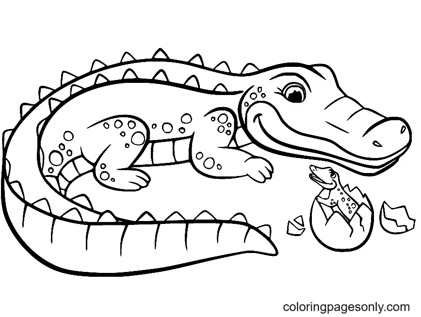 Desenhos de Jacare Para Colorir 12