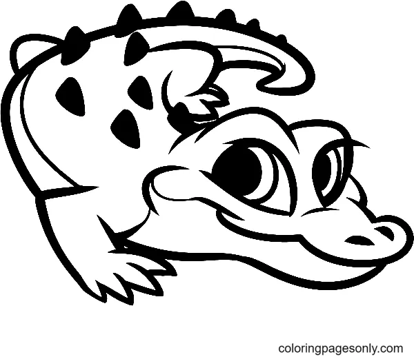 Alligator Coloring Pages 3