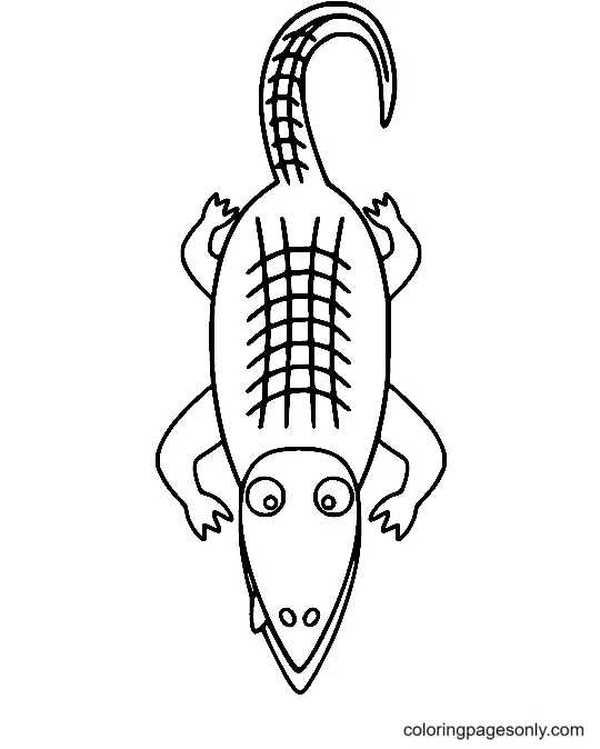 Desenhos de Jacare Para Colorir 59