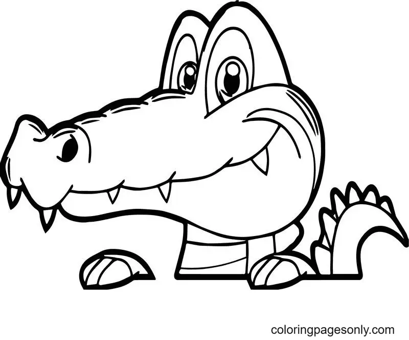 Alligator Coloring Pages 6