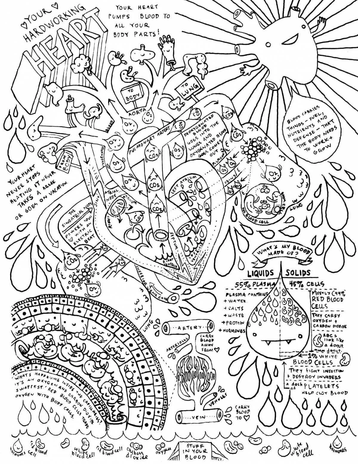 Anatomia Para Colorear 98