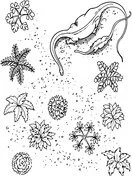 Apatosaurus Coloring Pages 14