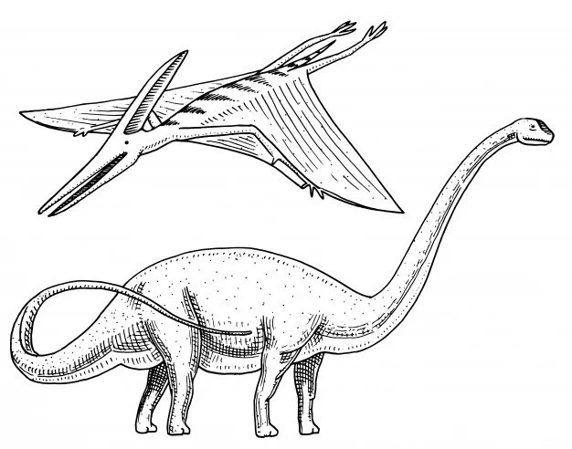 Apatosaurus Coloring Pages 25