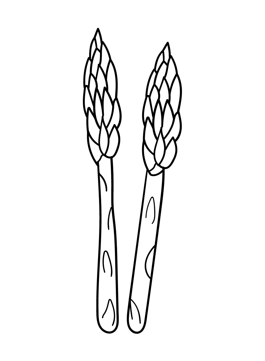 Asparagus Coloring Pages 14