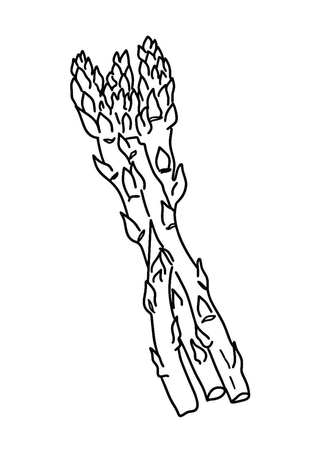 Desenhos de Aspargos Para Colorir 24