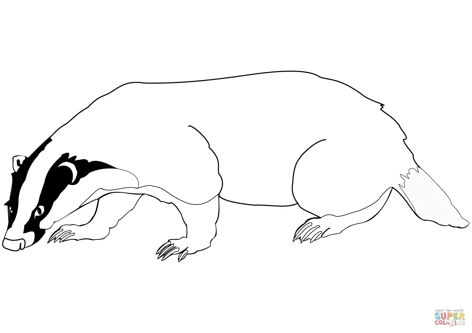 Badgers coloring pages 11