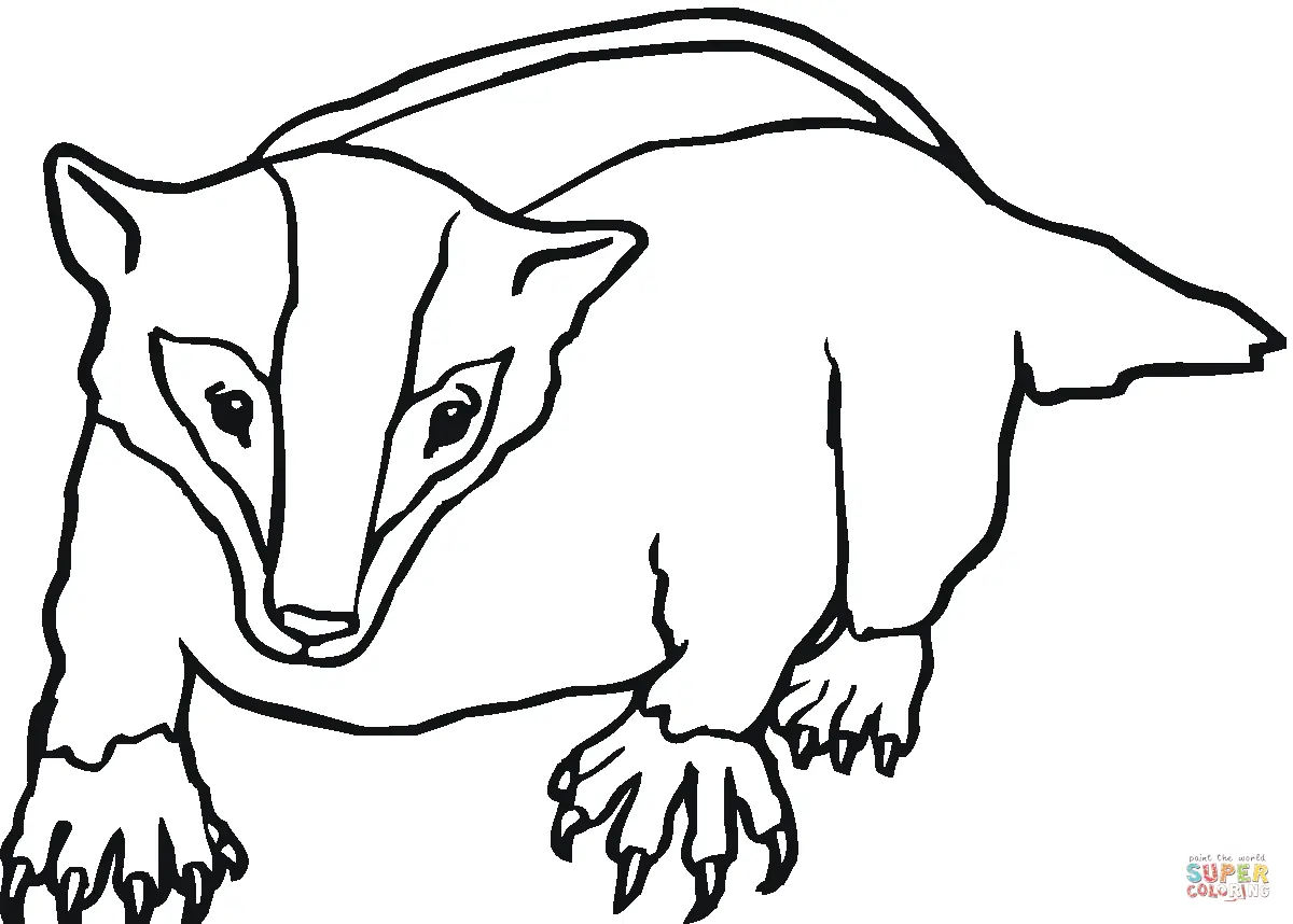 Badgers coloring pages 27