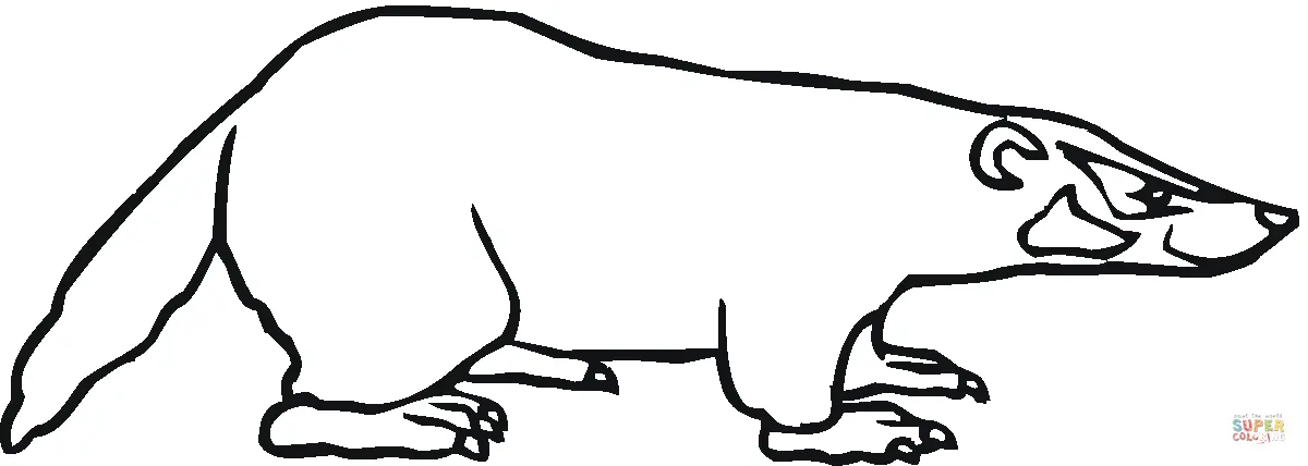 Badgers coloring pages 29