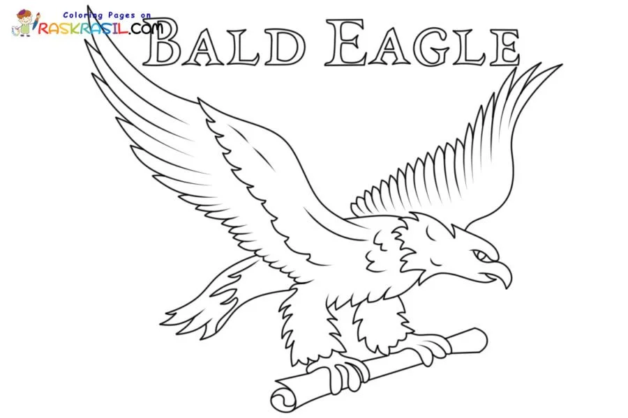 Bald Eagle Ausmalbilder 1
