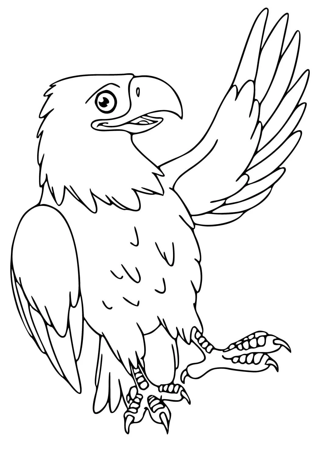Bald Eagle Ausmalbilder 29