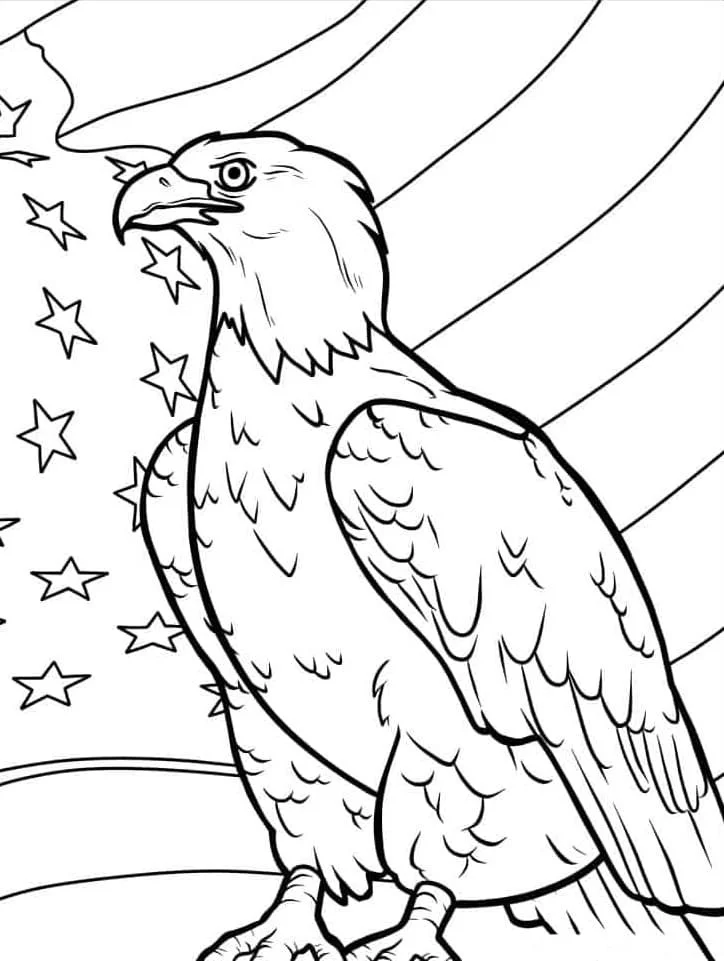 Bald Eagle Ausmalbilder 44