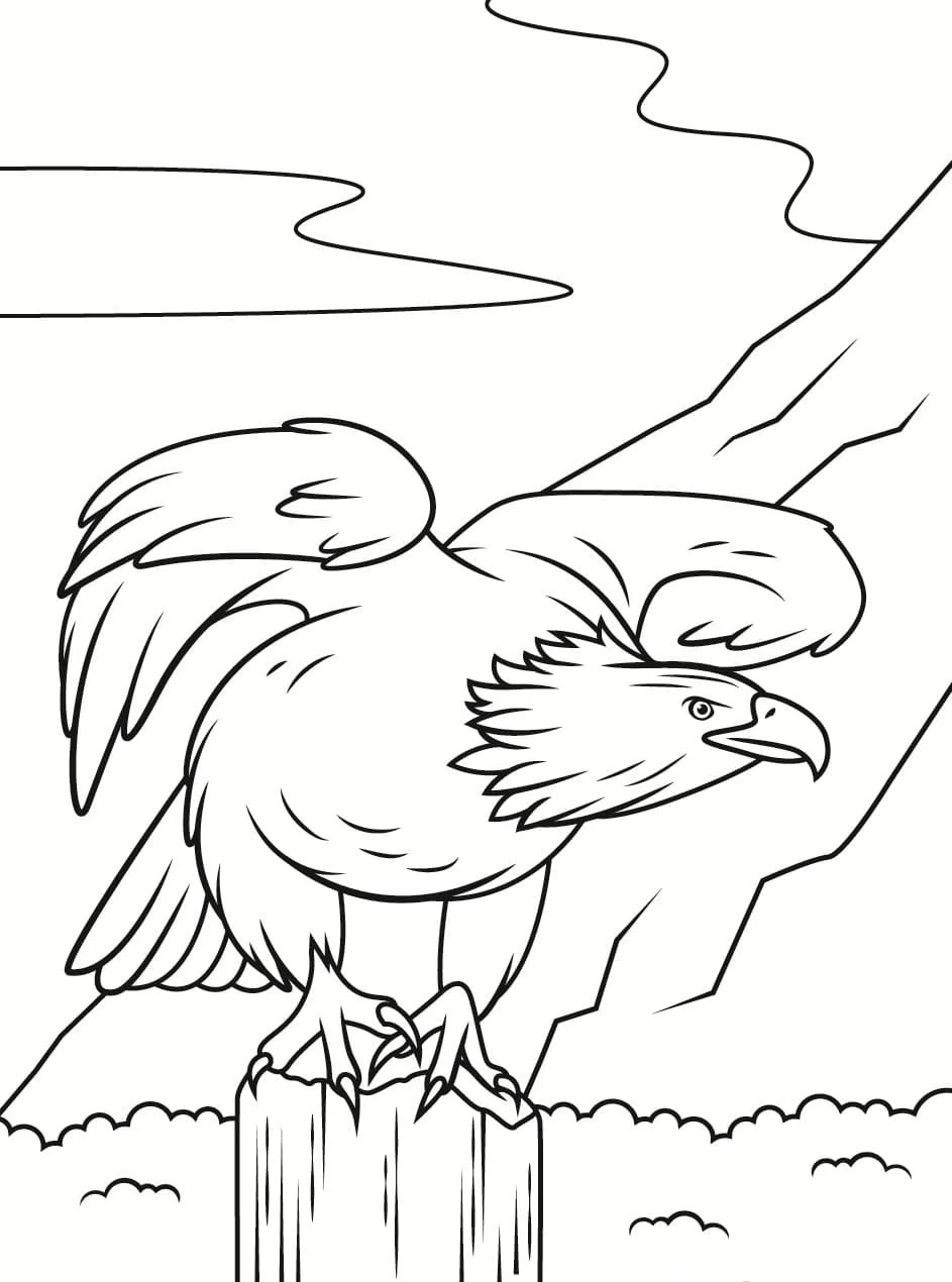 Bald Eagle Ausmalbilder 63