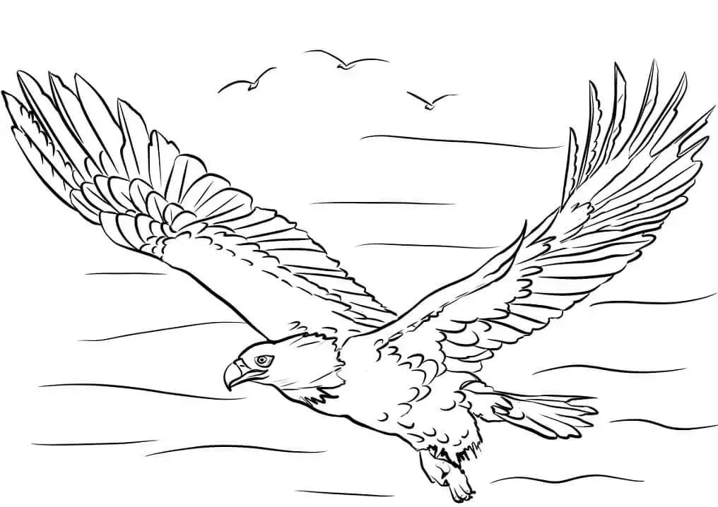Bald Eagle Ausmalbilder 93