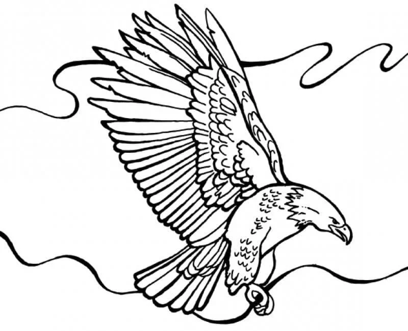 Bald Eagle Ausmalbilder 94