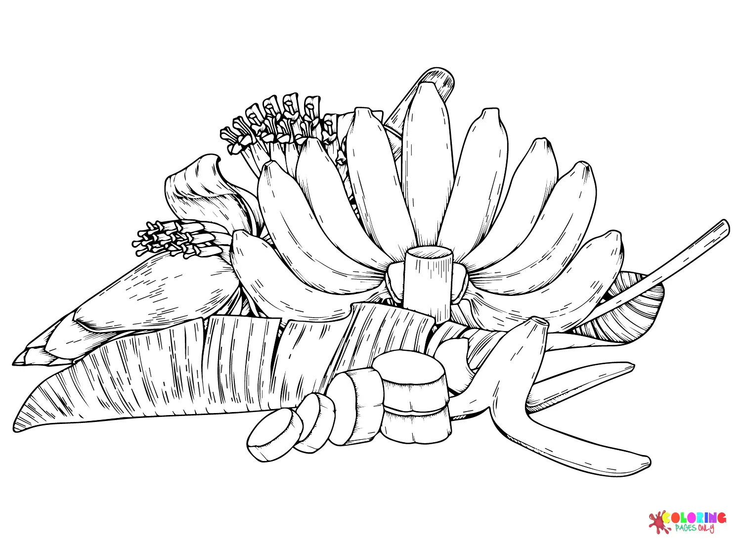 Bananas Coloring Pages 11