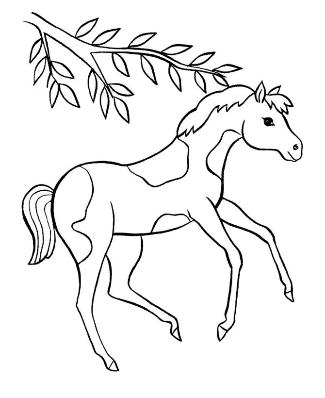 Barbie Y Sus Caballos Para Colorear 17