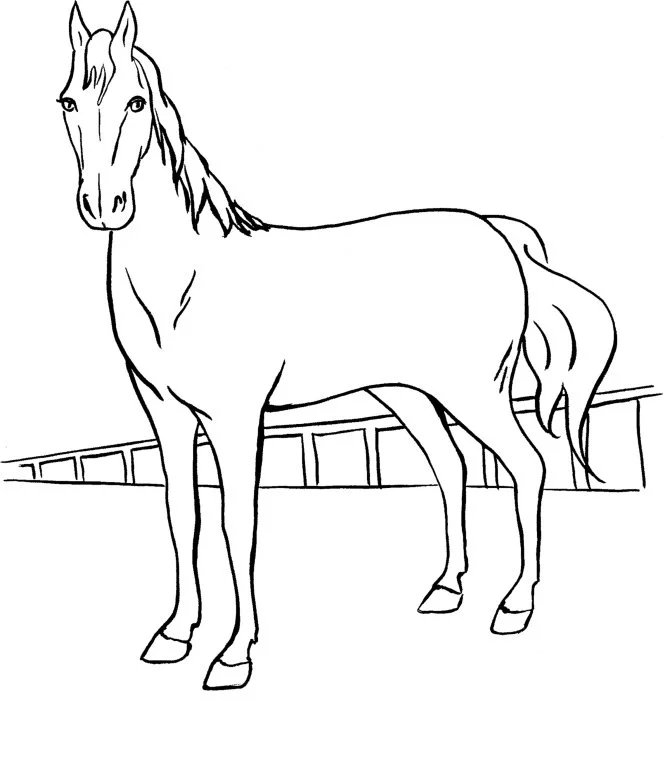 Barbie Y Sus Caballos Para Colorear 44