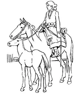 Barbie Y Sus Caballos Para Colorear 52
