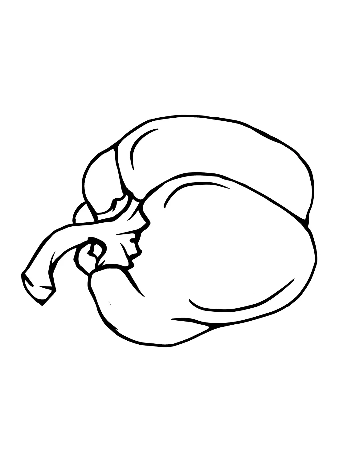 Paprika Ausmalbilder 17
