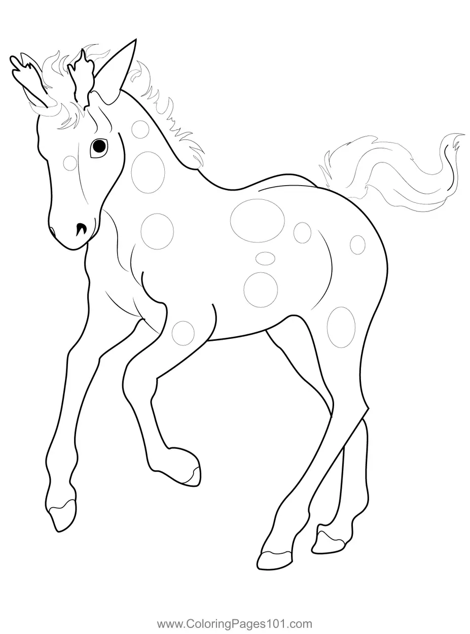 Bella Sara Coloring Pages 1