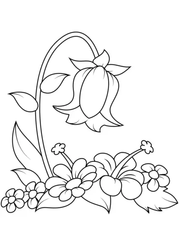 Bellflower Coloring Pages 5
