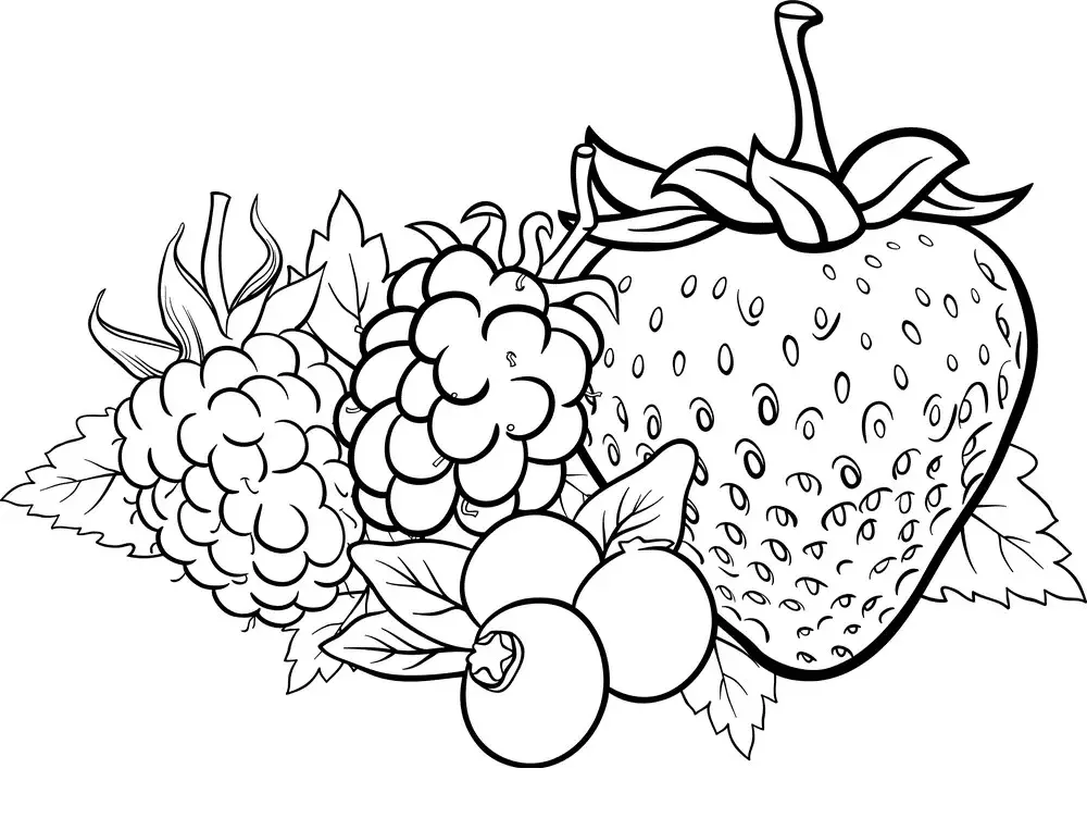 Beeren Ausmalbilde 1