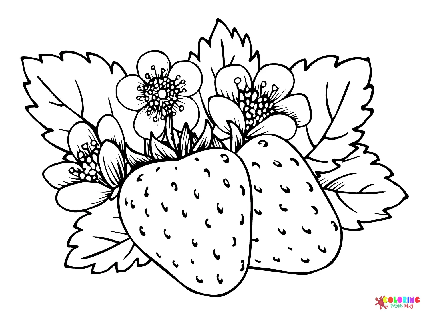 Beeren Ausmalbilde 6