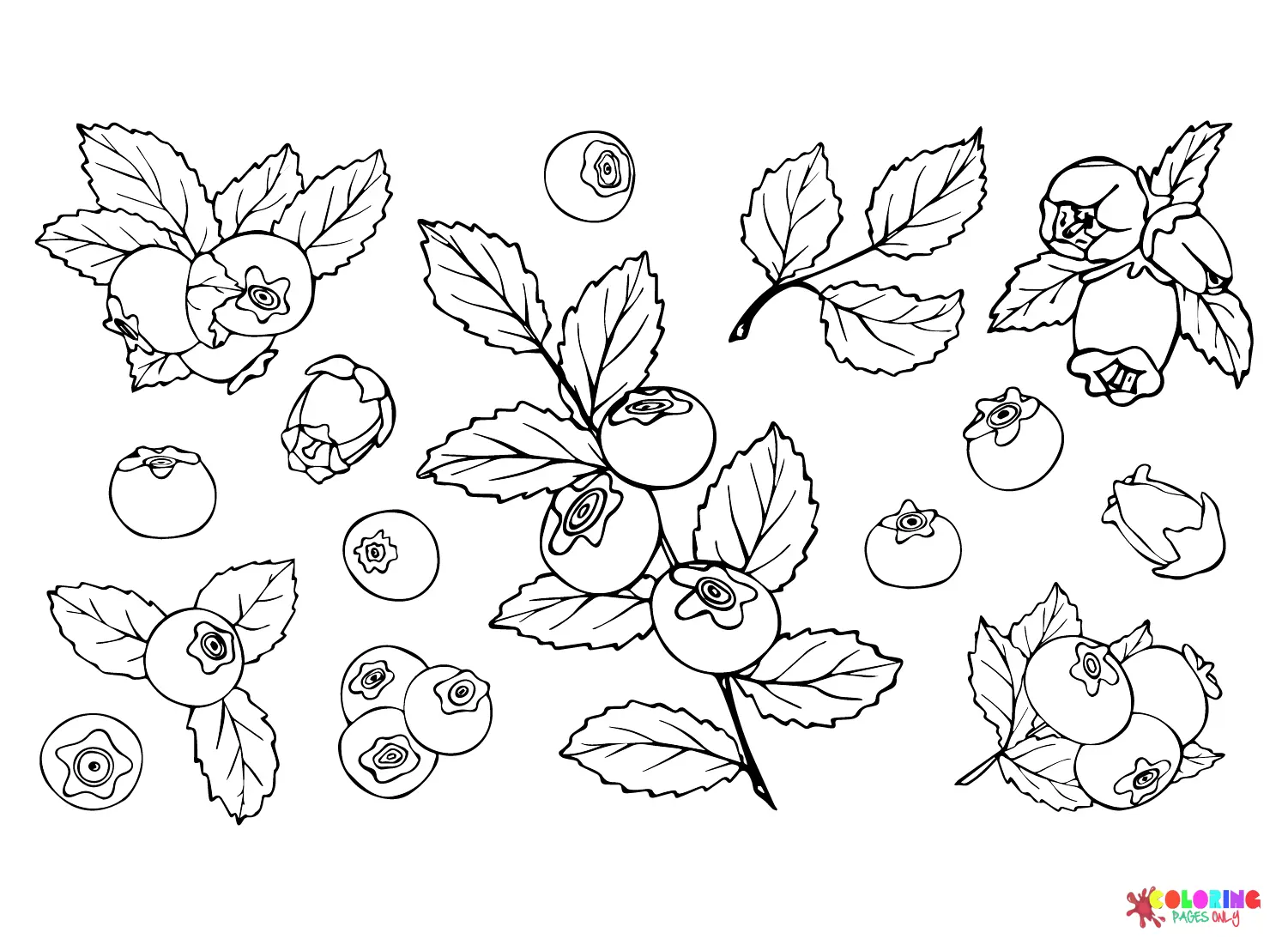 Berries Coloring Pages 7