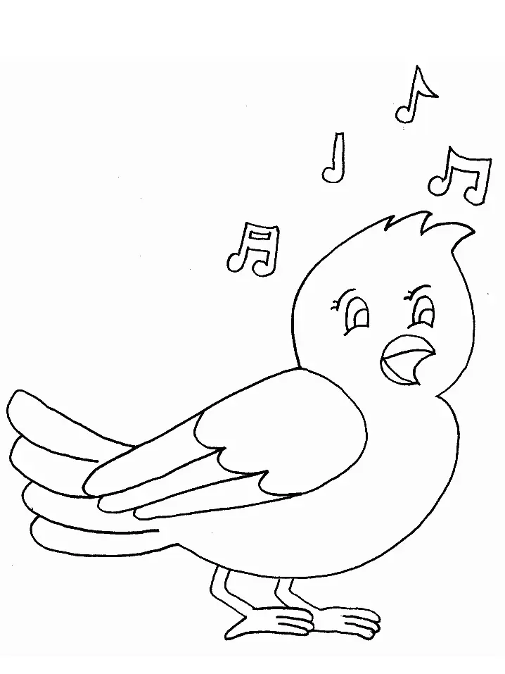 Bird Coloring Pages 120