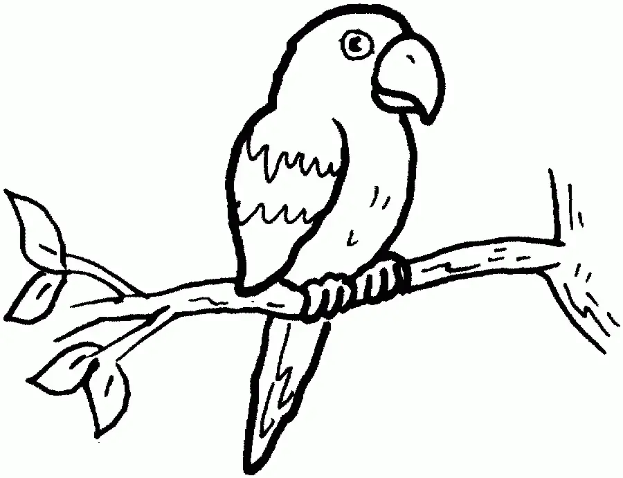 Vogel Ausmalbilder 125