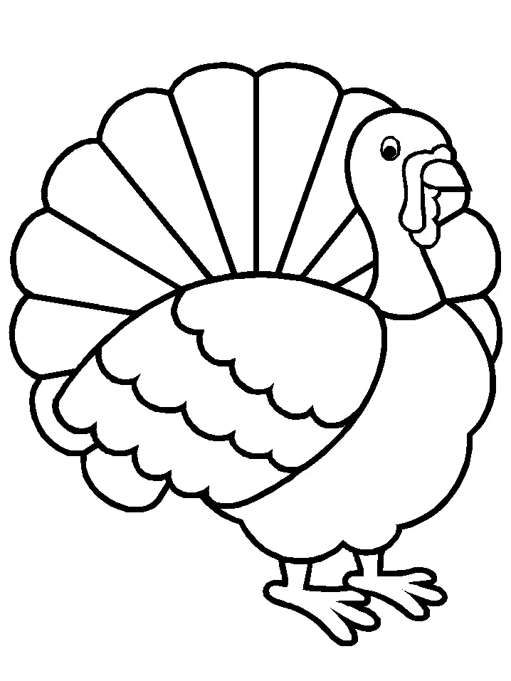 Vogel Ausmalbilder 126