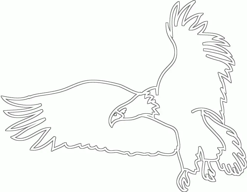 Pajaros Para Colorear 130
