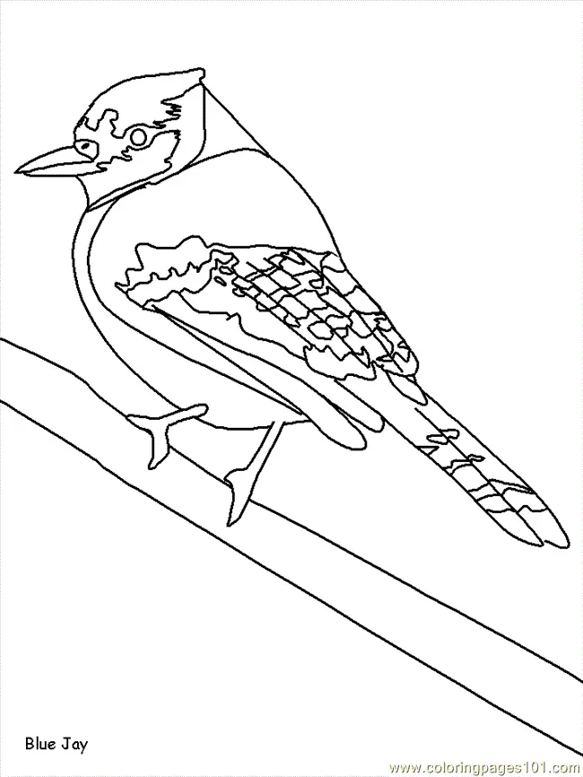 Bird Coloring Pages 137