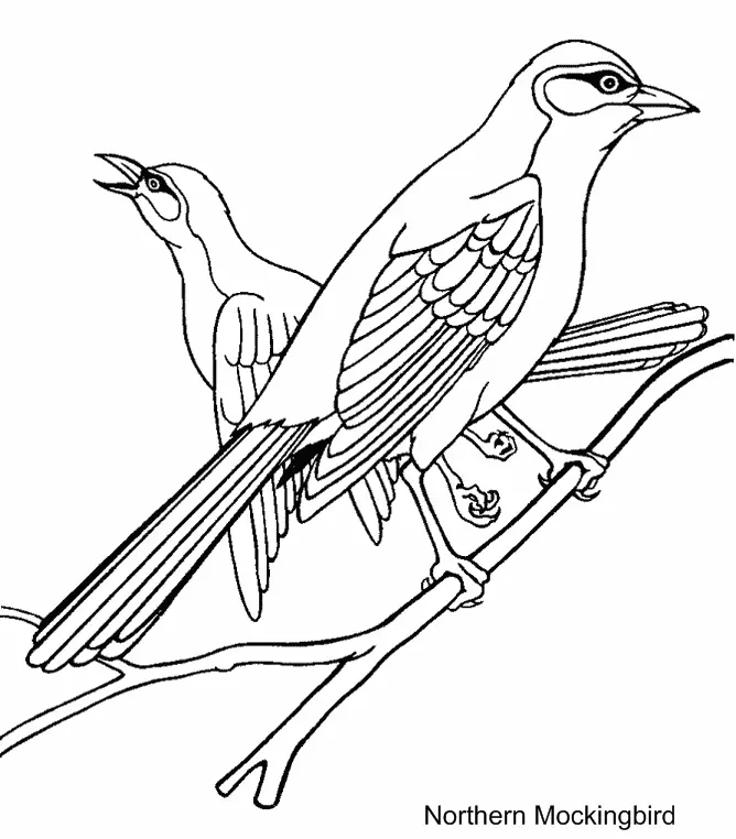 Vogel Ausmalbilder 143