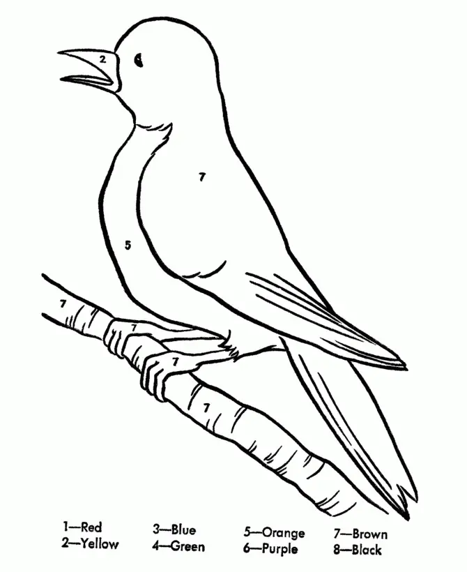 Vogel Ausmalbilder 157