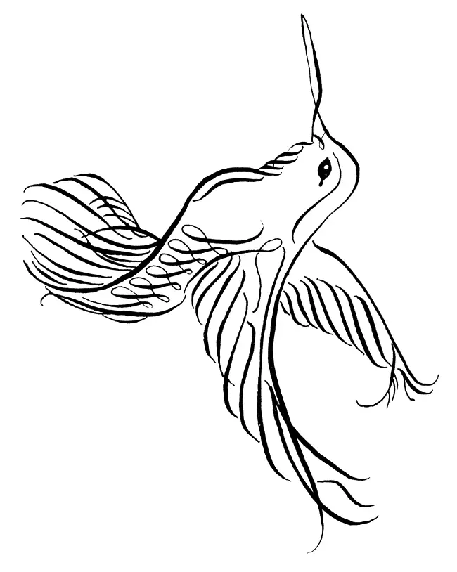 Vogel Ausmalbilder 159