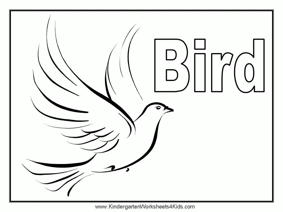 Bird Coloring Pages 18