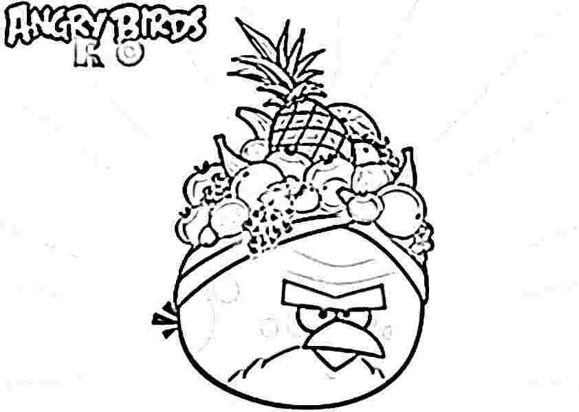 Pajaros Para Colorear 20