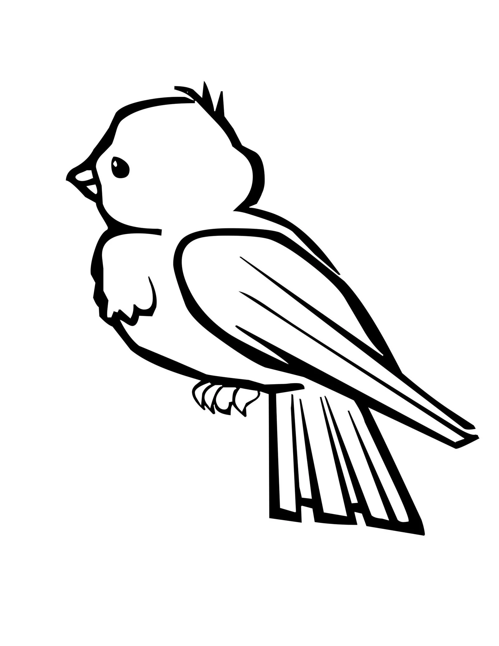 Pajaros Para Colorear 228