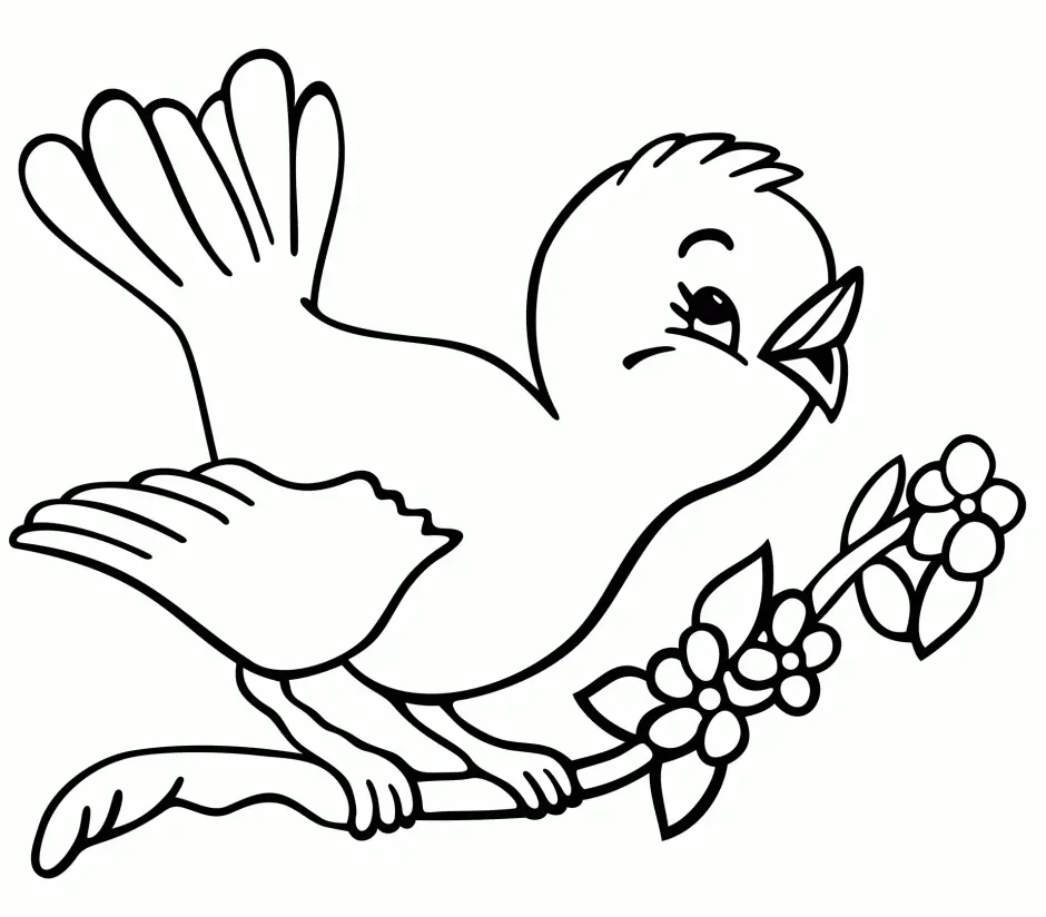 Bird Coloring Pages 27