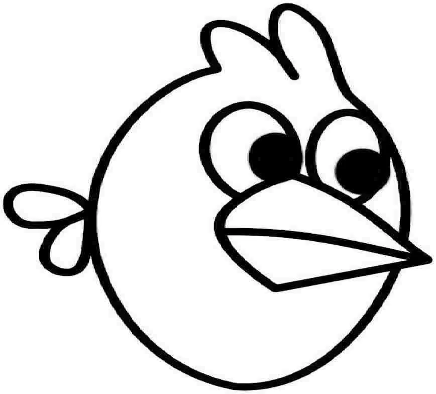 Desenhos de Bird Para Colorir 36