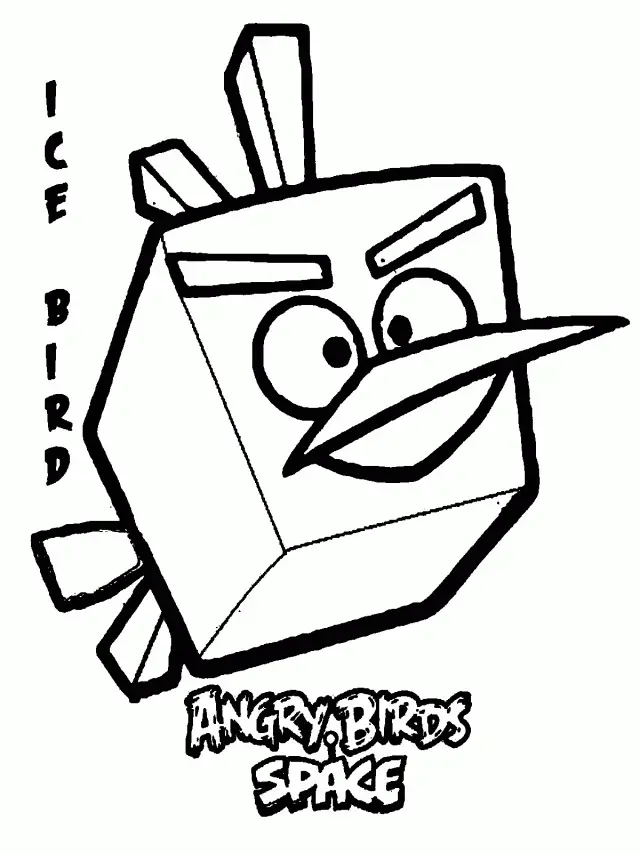 Bird Coloring Pages 39