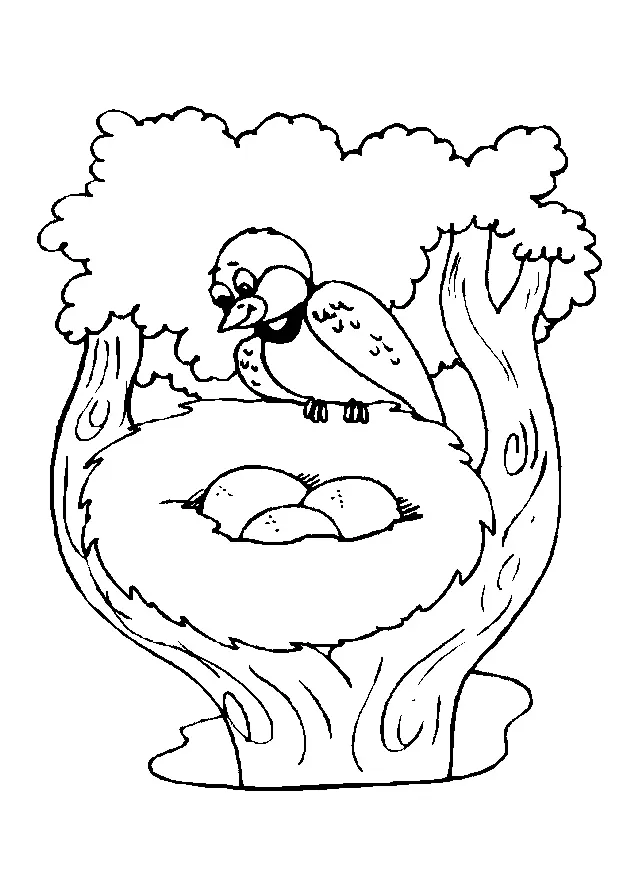 Pajaros Para Colorear 42