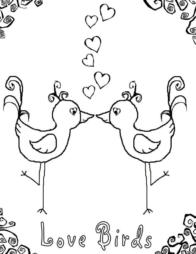 Vogel Ausmalbilder 46