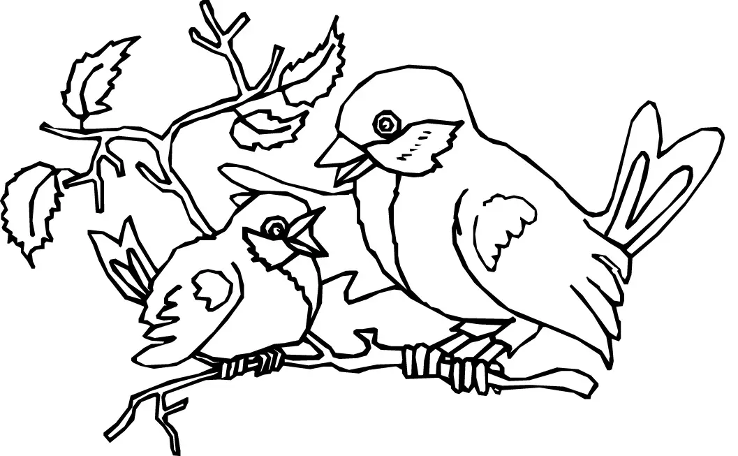 Vogel Ausmalbilder 54