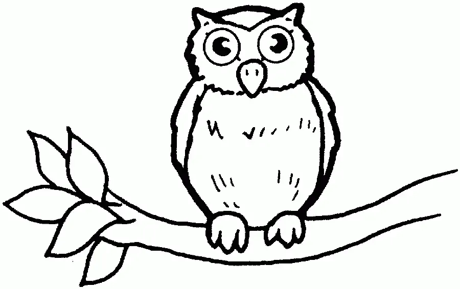 Vogel Ausmalbilder 67