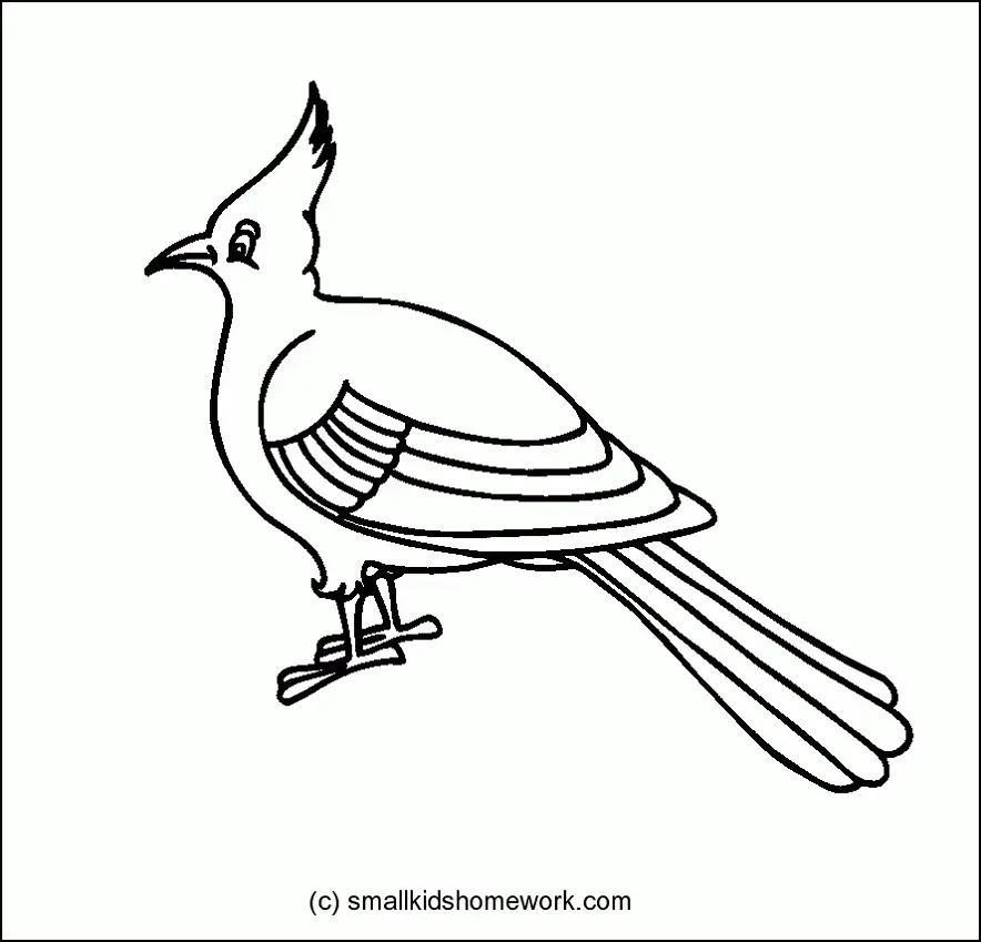 Desenhos de Bird Para Colorir 70