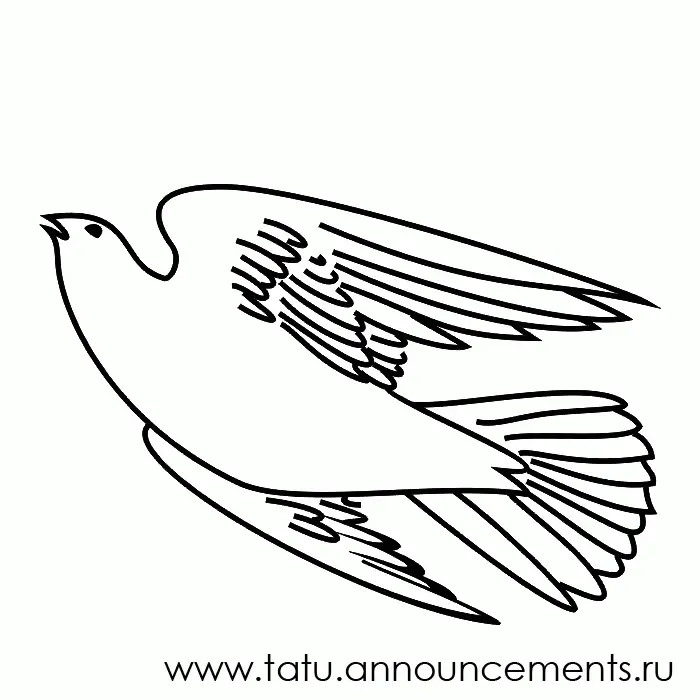 Vogel Ausmalbilder 85