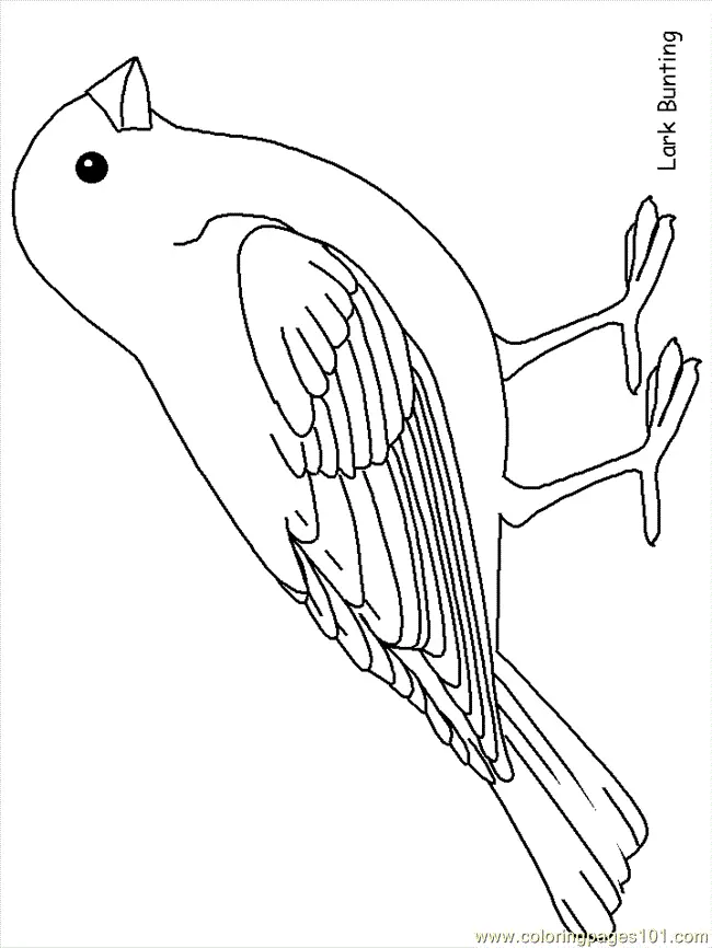 Vogel Ausmalbilder 9